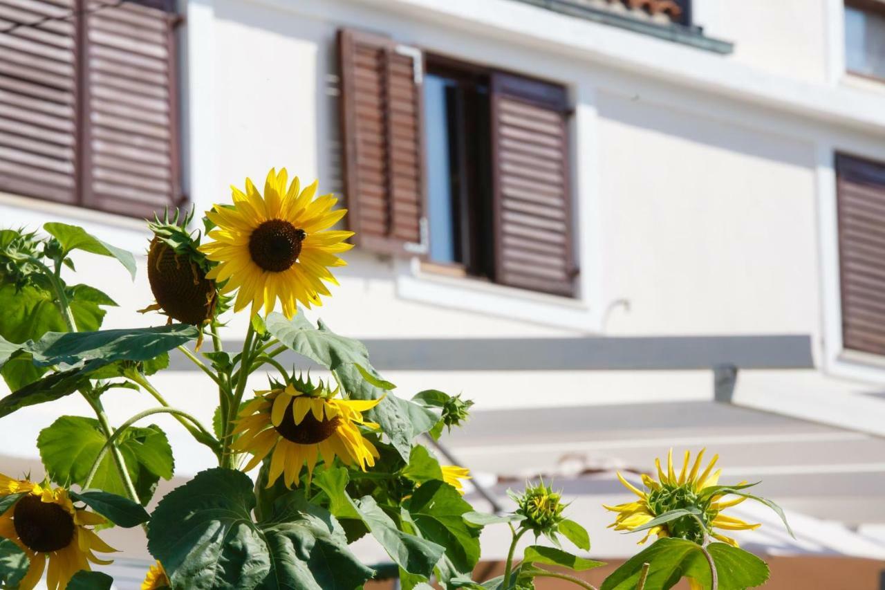 Beach Suite Nina Supetarska Draga Exterior foto